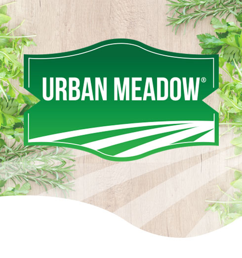 UM-Green-Logo-with-Background.jpg
