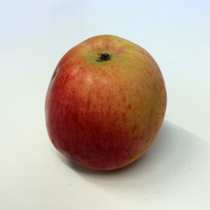 Quaker - Apples Cortland 100ct