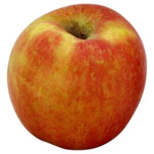 Fresh Produce - Apples Cortland Totes