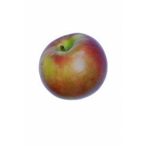 Fresh Produce - Apples Paulared 100ct