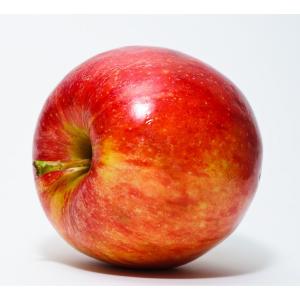 Seidner - Apples Snapdragon