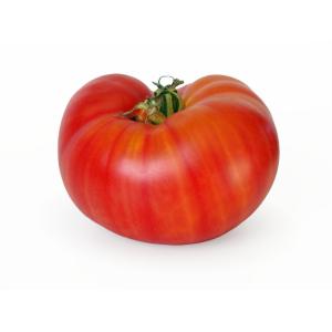 Fresh Produce - Beefsteak Tomato