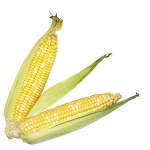 Fresh Produce - Bi Color Corn