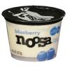 BLUEBERRY YOGHURT