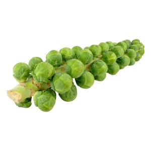 Fresh Produce - Brussel Sprouts Stalks