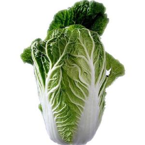 Fresh Produce - Cabbage Nappa