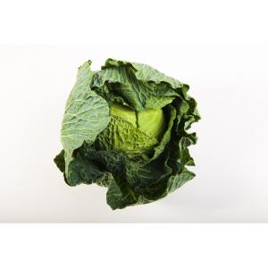 Produce - Cabbage Savoy