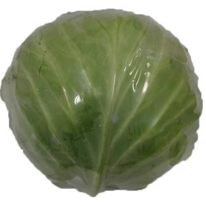 Fresh Produce - Cabbage Wrapped