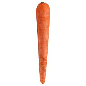 Produce - Carrot Bunch