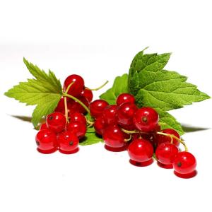 Produce - Currant Red