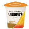 ECUADORIAN MANGO ORGANIC YOGUR