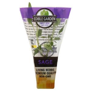 Edible Garden - eg 4 Pot Herb Sage