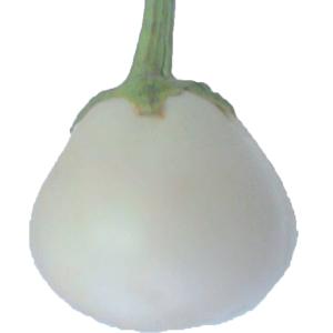 Fresh Produce - Eggplant White