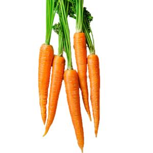 Fresh Produce - French Style Carrots