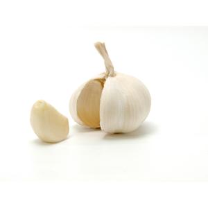 Fresh Produce - Garlic One Clove Types