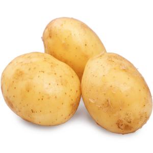 Yukon Gold - Golden Yellow Potatoes