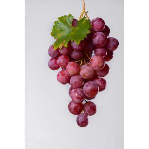 Fresh Produce - Grape Red Seeded