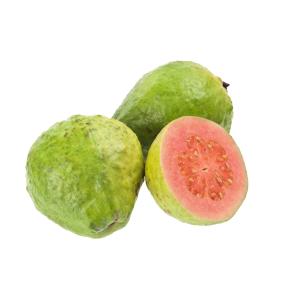 Tropical - Guava
