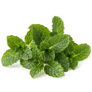 Produce - Herbs Mint