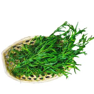 Produce - Herbs Tarragon