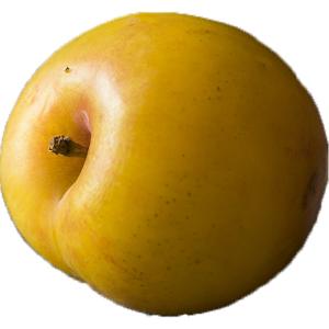 Produce - Lemon Plums Imported