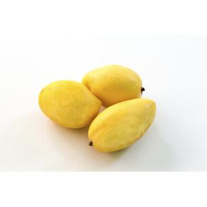 Fresh Produce - Mango Yellow Ataulfo
