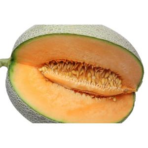 Fresh Produce - Melon Orange Flesh