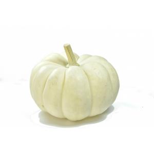 Produce - Pumpkin Mini White