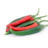Fresh Produce - Mixed Chili Peppers