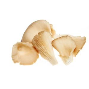 Fresh Produce - Mushroom Oyster