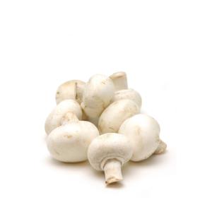 Produce - Mushroom Regular Button
