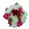 NF 14 99 HOLIDAY BOUQUET