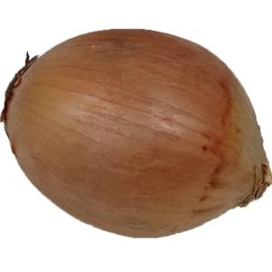 Produce - Onions Spanish