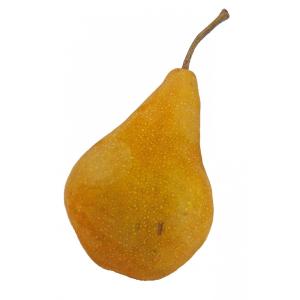 Organic Produce - Organic Bosc Pears