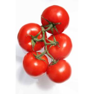 Fresh Produce - Organic Tomatoes on the Vine