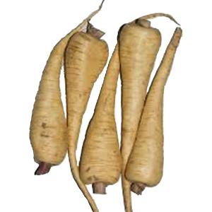 Produce - Parsnips Baby