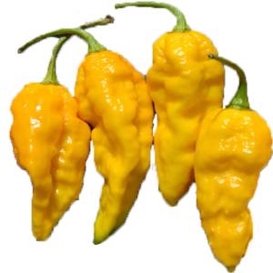 Produce - Pepper Chili Yellow