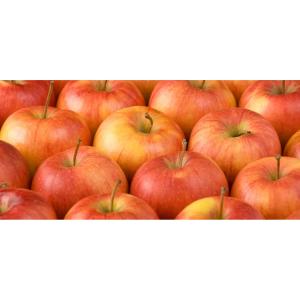 Organic Produce - Pinata Apples