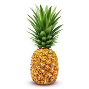 Fresh Produce - Pineapple 6ct