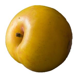 melissa's - Plum Lemons