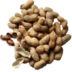 Fresh Produce - Roasted Unsalted Peanuts