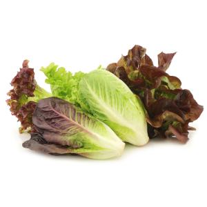 Produce - Lettuce Romaine Red