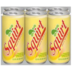 Squirt - Soda 6pk 7.5fl