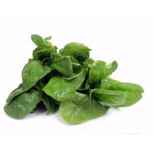 Produce - Spinach Bunch