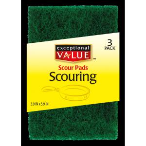 Exceptional Value - Sponge Scour Pad