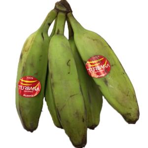 Produce - Squash Banana