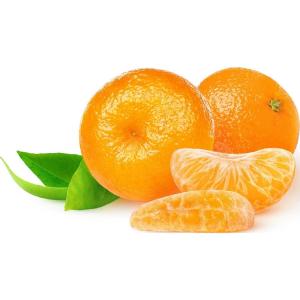 Florida - Tangerine Clementine Large