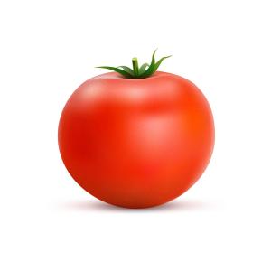 Produce - Tomato Greenhouse