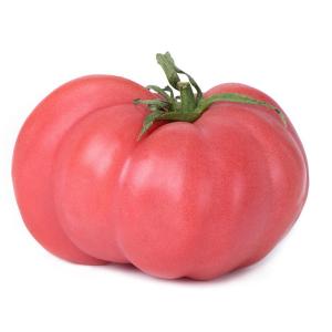 Fresh Produce - Tomato Native Home Grown