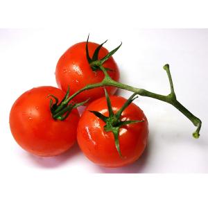 Produce - Tomato Vine Ripe